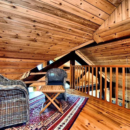 Dom wakacyjny Cozy Holiday In Dion With Sauna&jacuzzi *